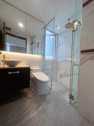 The Lucent (D15), Apartment #527852061